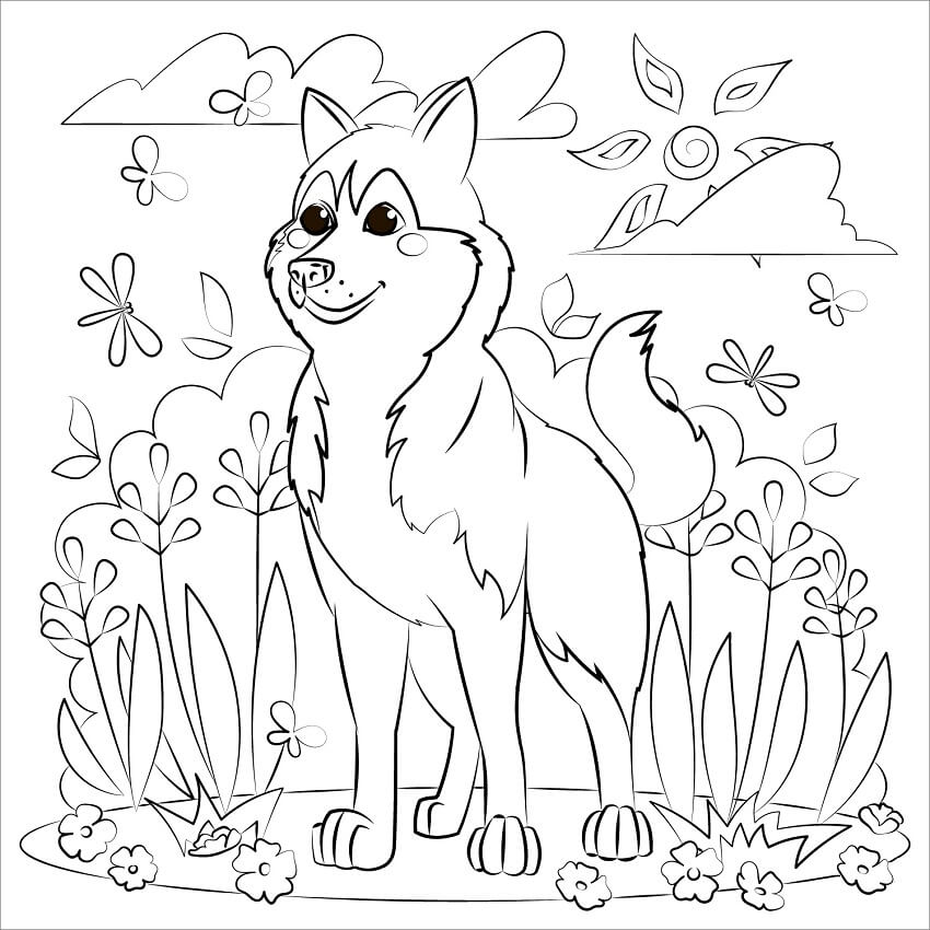 Husky kolorowanki